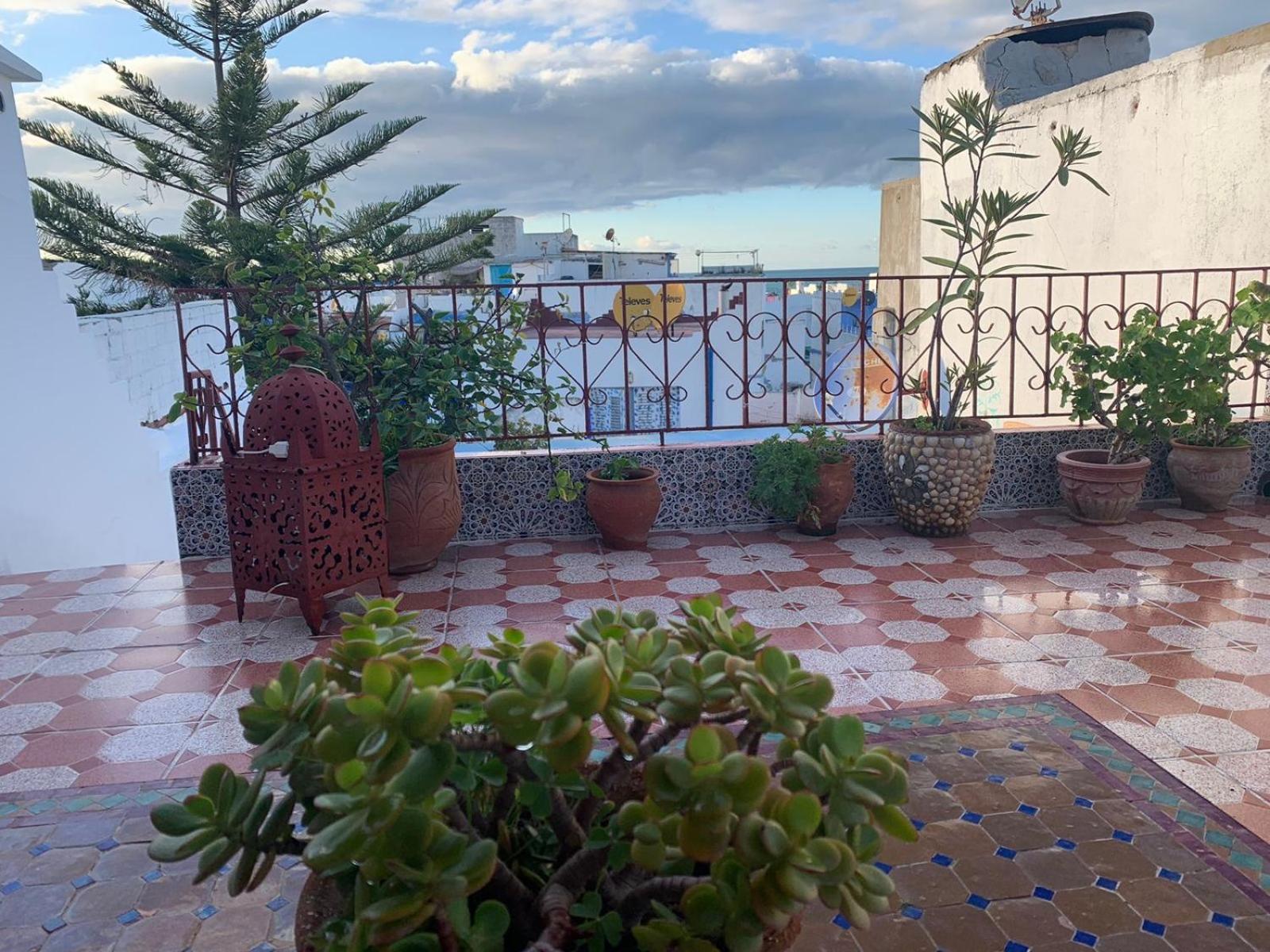 Hathor ,Casa Marroqui Con Dos Terrazas En La Medina Antigua , Ideal Parejas!! Wifi!! Asilah Exteriör bild